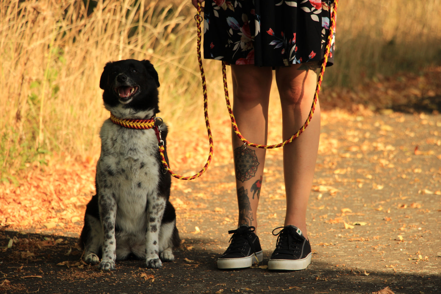 Paracord Halsband Dream - Farben: Rust, Teal, Türkis