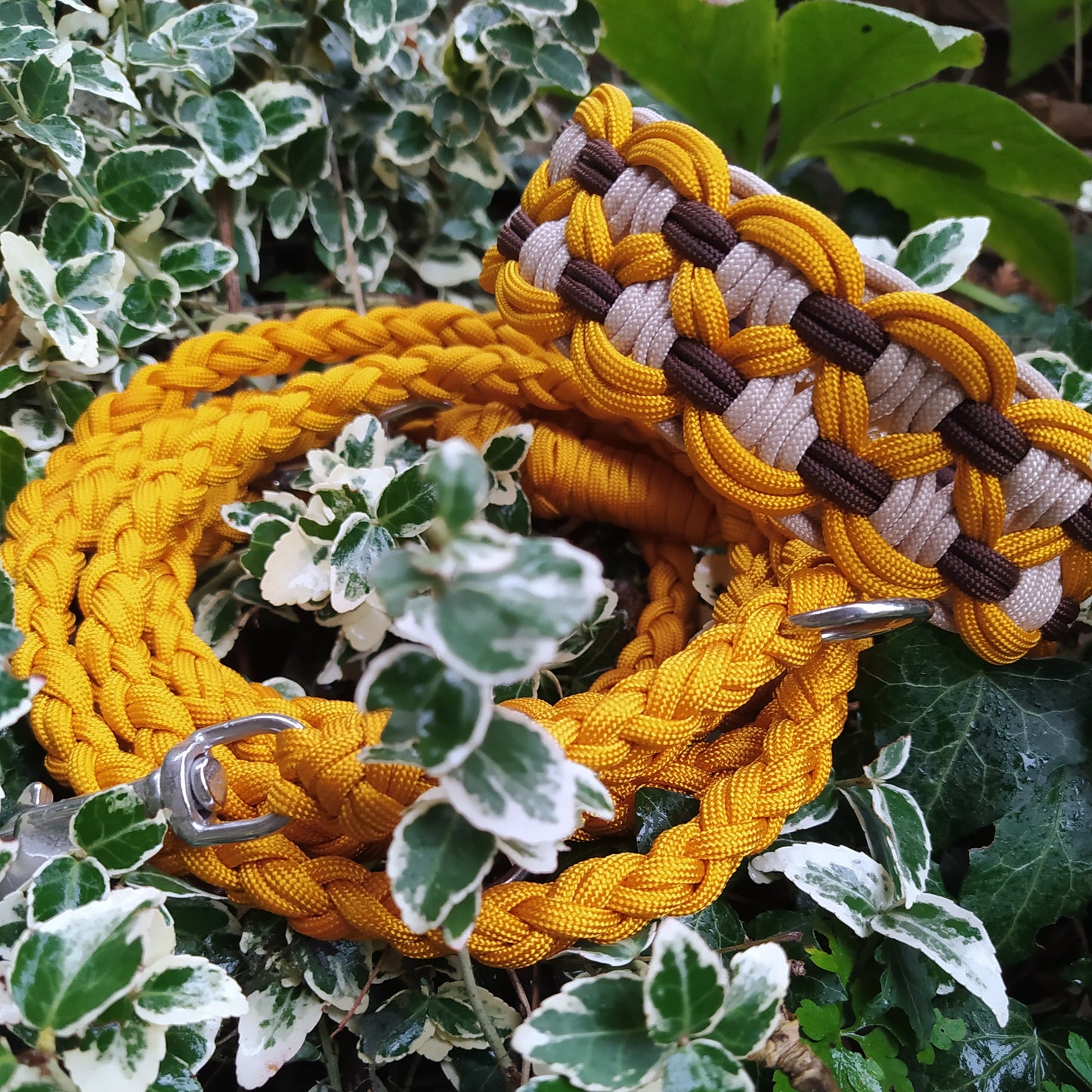 Paracord Halsband Big Wave - Farben: Goldenrod, Sand, Walnut