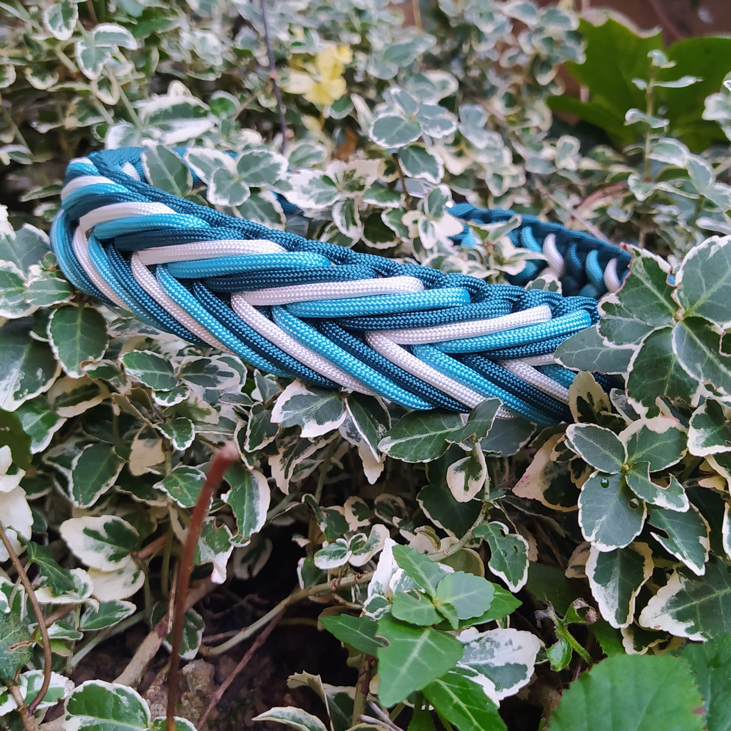 Paracord Halsband Arrow - Farben: Teal, Dark Cyan, White