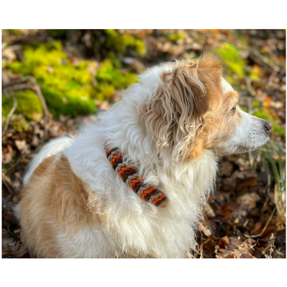 Paracord Halsband Little Snake - Farben: Burgundy, Rusty Autumn, Sweet Fall