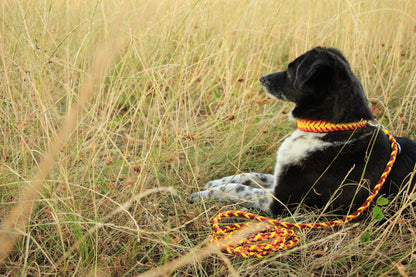 Paracord Halsband Dream - Farben: Canary Yellow, Burgundy, Fox Orange