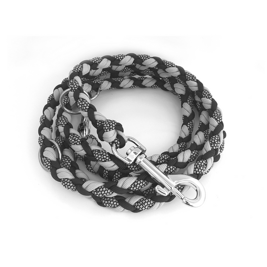 Paracord Leine - Medi - Farben nach Wahl