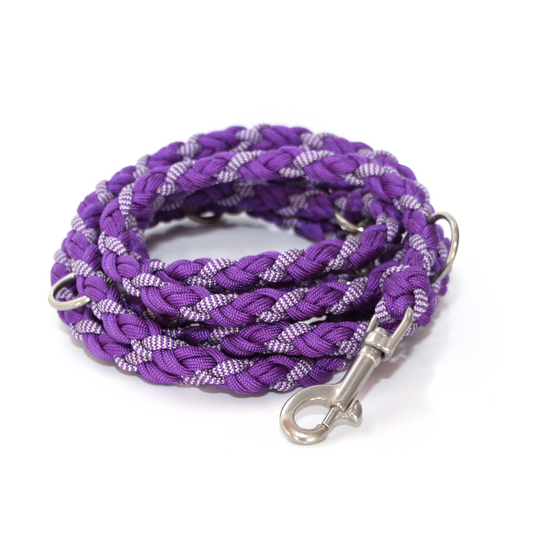 Paracord Leine - Medi - Farben: Acid Purple, Shockwaves Purple