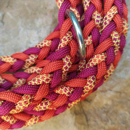 Paracord Leine - Arrow - Farben: Rusty Autumn, Sweet Fall, Burgundy