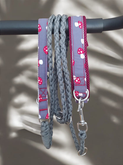 Matching Leash - Glückspilz - Grau (Leine)