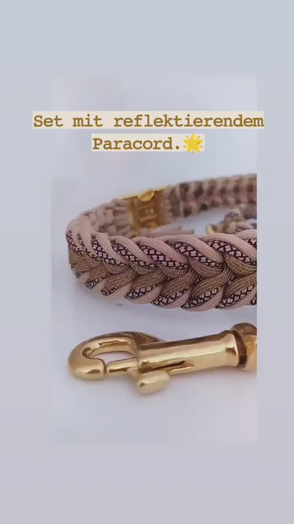 Paracord Leine - Arrow - Farben: Reflektierendes Cord, Sand, Gold Brown